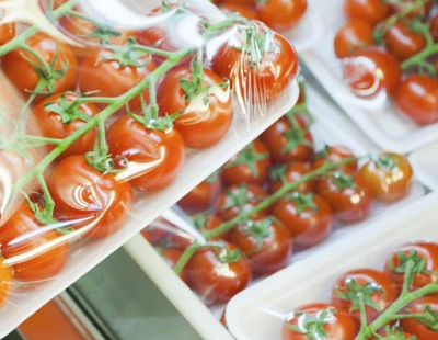 Food Trays » PACKPRO