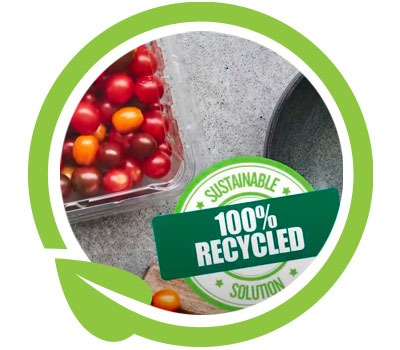icon-recycled recyclable trays for produce and protein